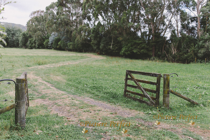 palmerston north wedding photo kellie 036