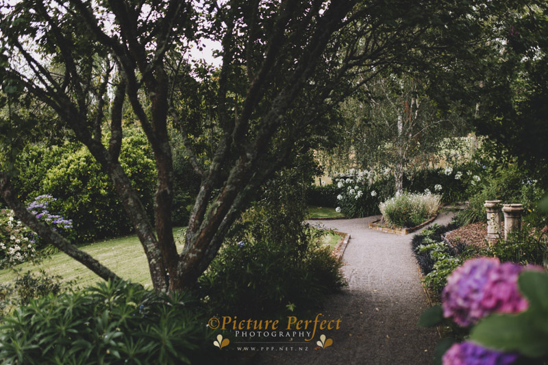 palmerston north wedding photo Anna Jen 38