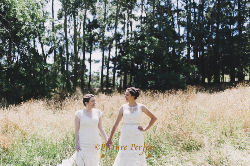 palmerston north wedding photo Anna Jen 492