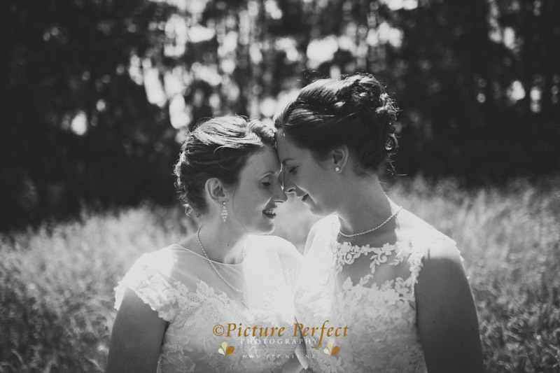 palmerston north wedding photo Anna Jen 494