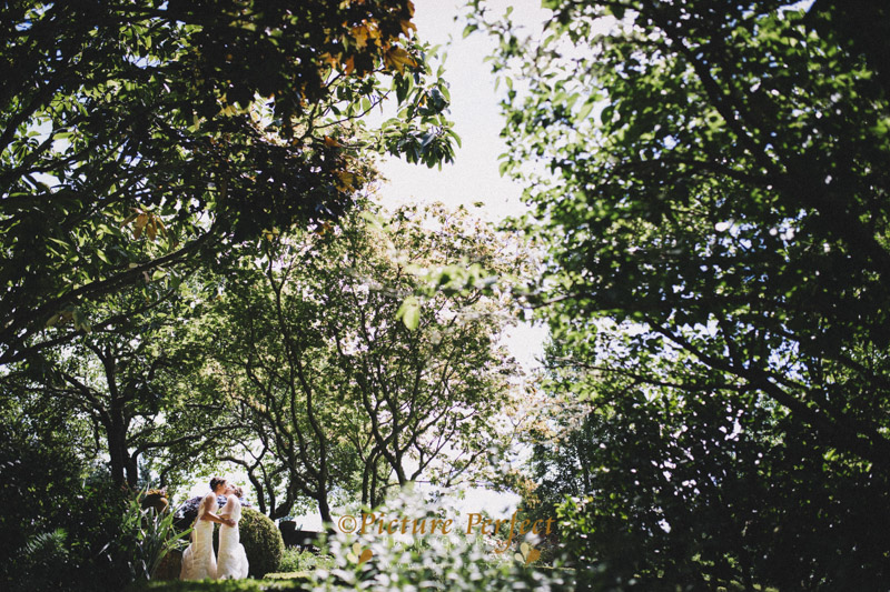 palmerston north wedding photo Anna Jen 513