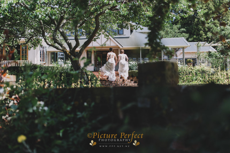 palmerston north wedding photo Anna Jen 517