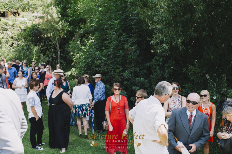 palmerston north wedding photo Anna Jen 613