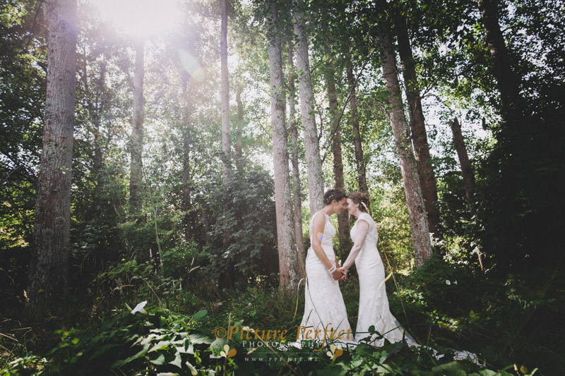 palmerston north wedding photo Anna Jen 903