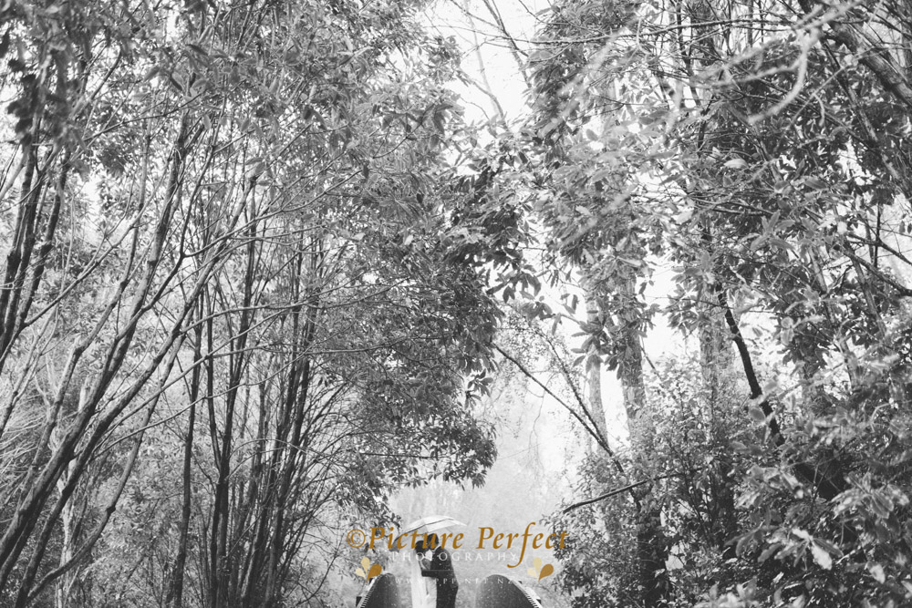 mel-and-anrew-palmerston-north-wedding-photography-0153 Mel and Anrew palmerston north wedding photography 0153