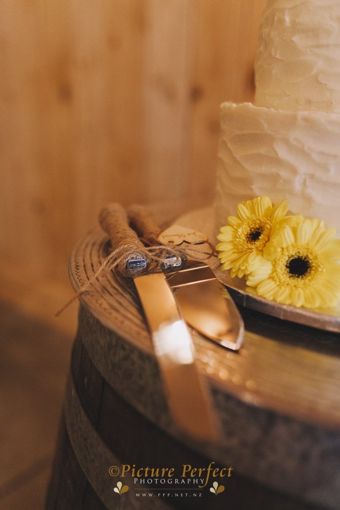 mel-and-anrew-palmerston-north-wedding-photography-0169 Mel and Anrew palmerston north wedding photography 0169