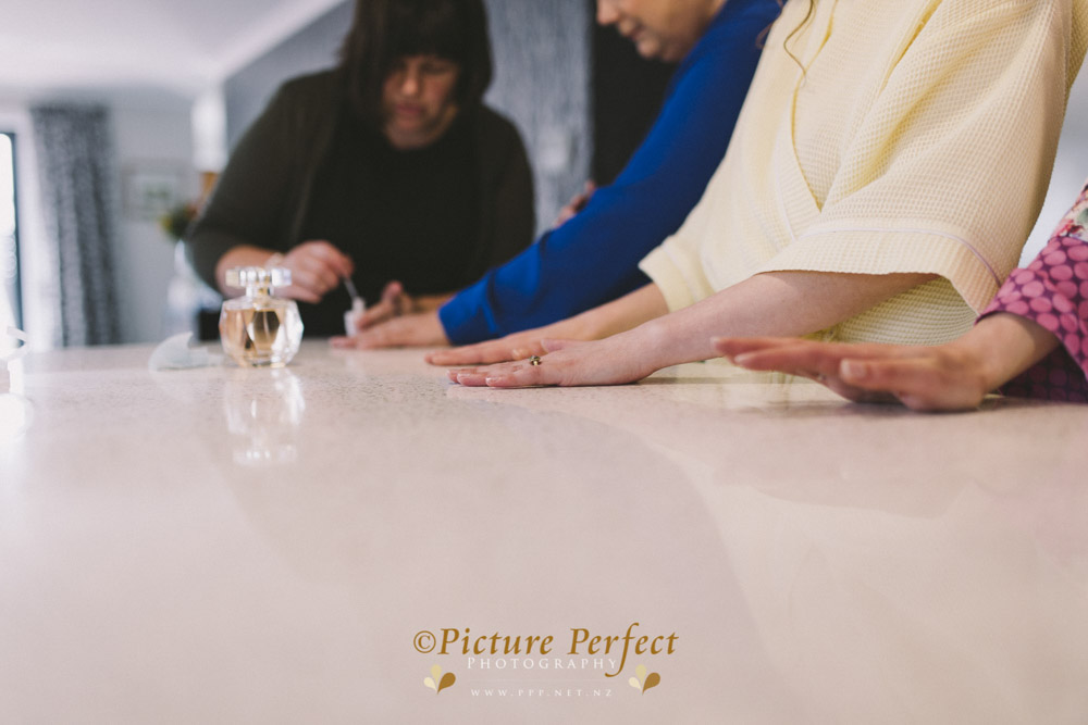 Alena palmerston north wedding photography 0060