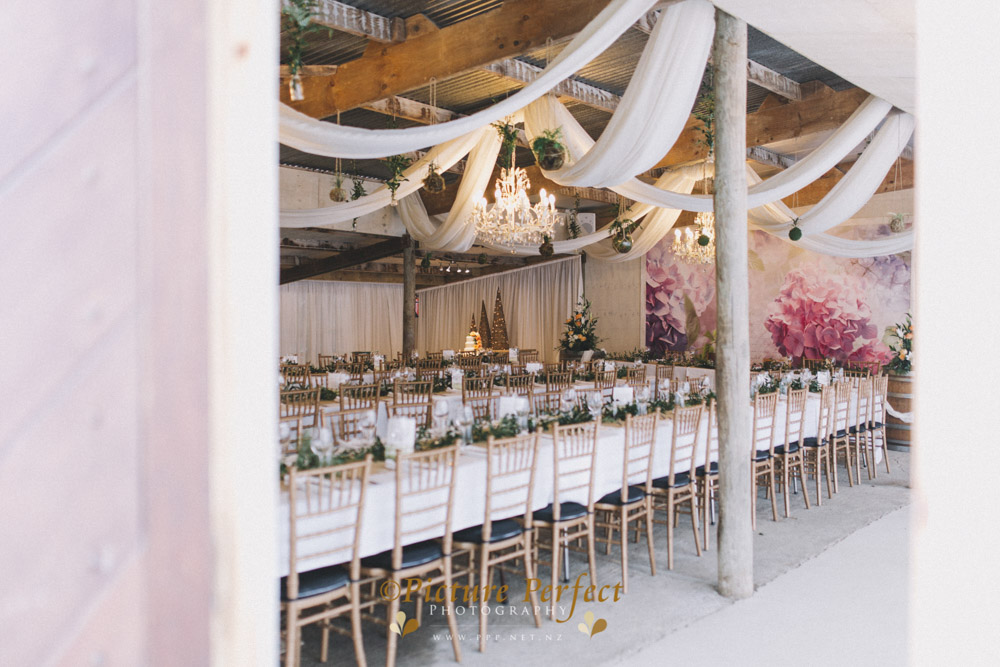 Alena palmerston north wedding photography 0151