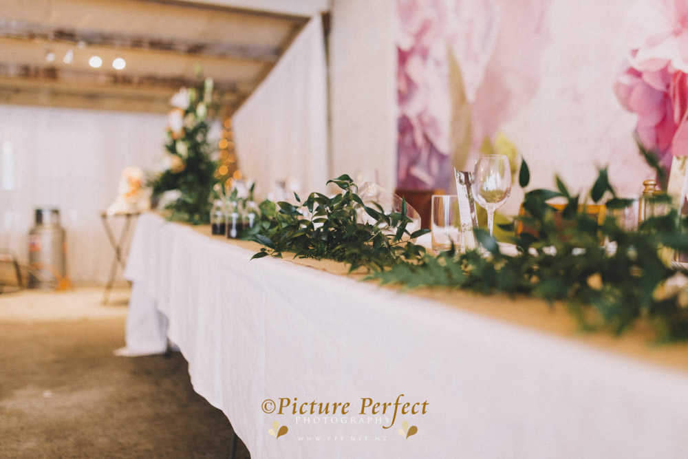 Alena palmerston north wedding photography 0158