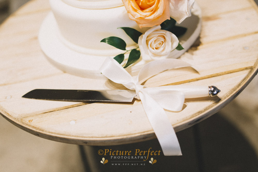 Alena palmerston north wedding photography 0162