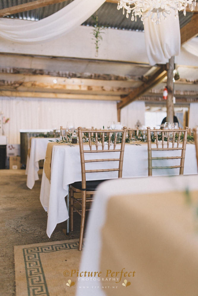 Alena palmerston north wedding photography 0166