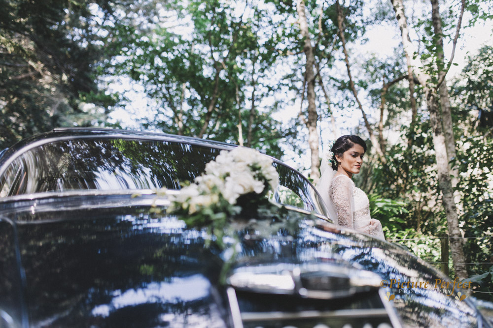 Kalani Wellington wedding 0165 2