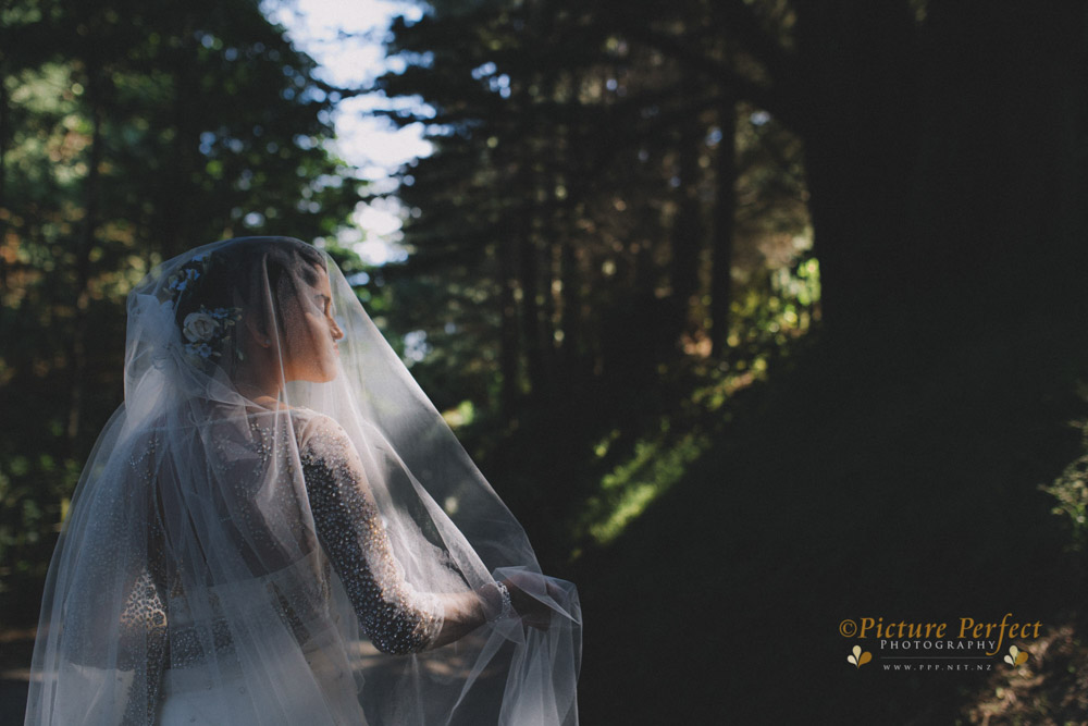 Kalani Wellington wedding 0176 2