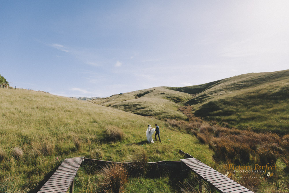 Kalani Wellington wedding 0204 2