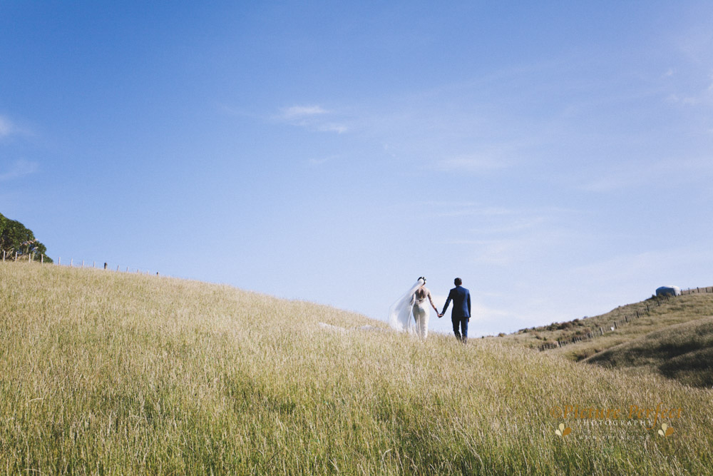 Kalani Wellington wedding 0205 2