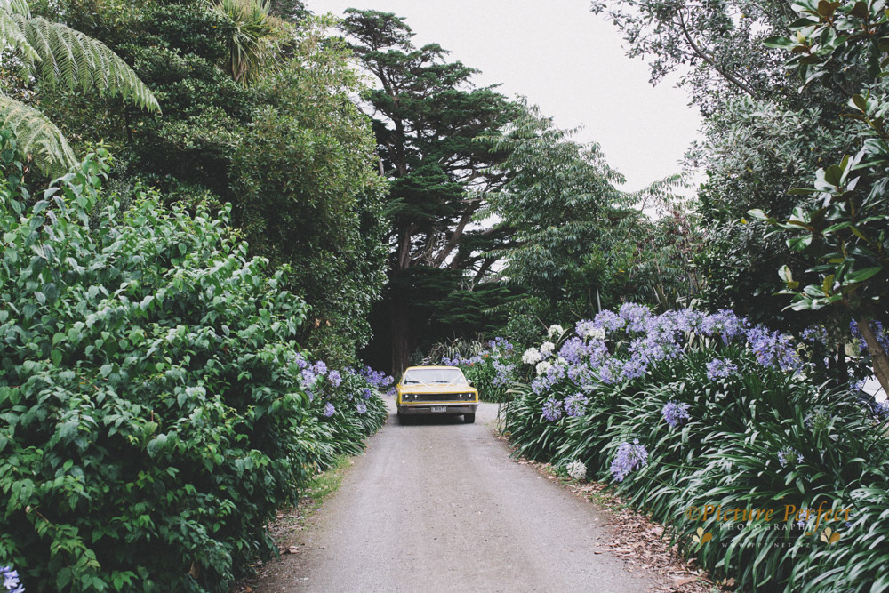 manawatu wedding Ann Maree 0109