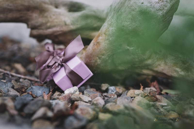 palmerston north wedding photos Samantha 0008 1