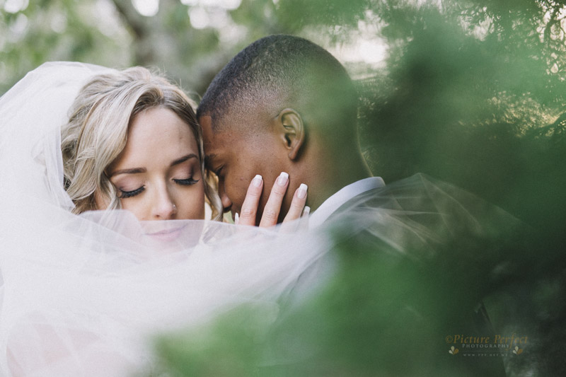 palmerston north wedding photos Samantha 0091 1