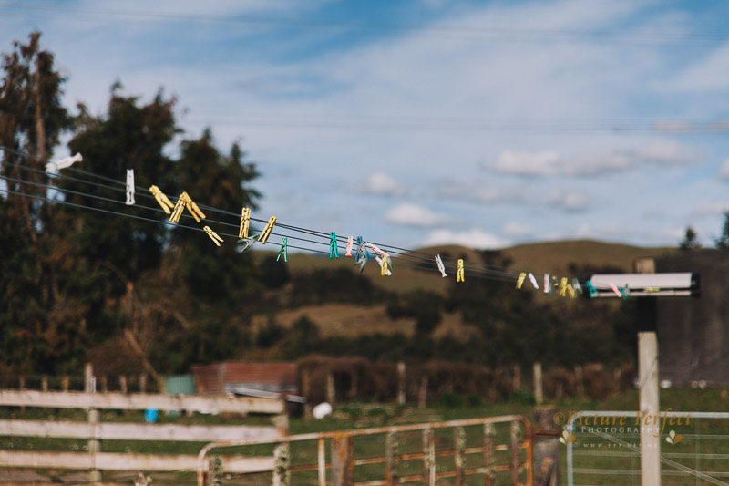 Palmerston North wedding photography Kylie 0059