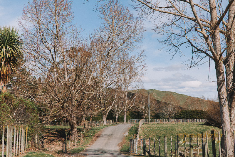 Palmerston North wedding photography Kylie 0063