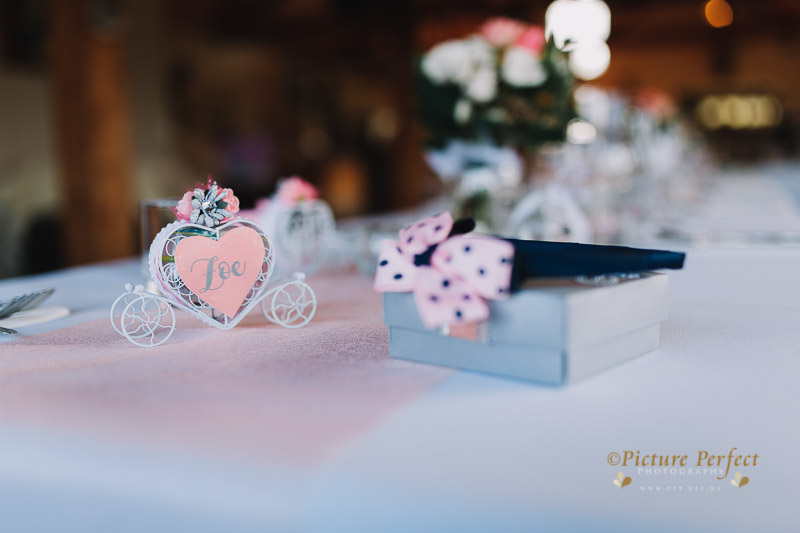 Palmerston North wedding photography Kylie 0122