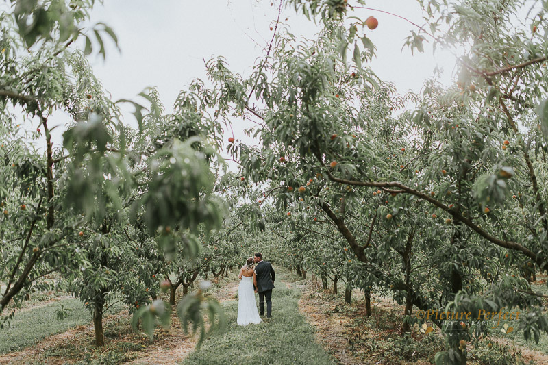 Palmerston North wedding photo Emma 0310