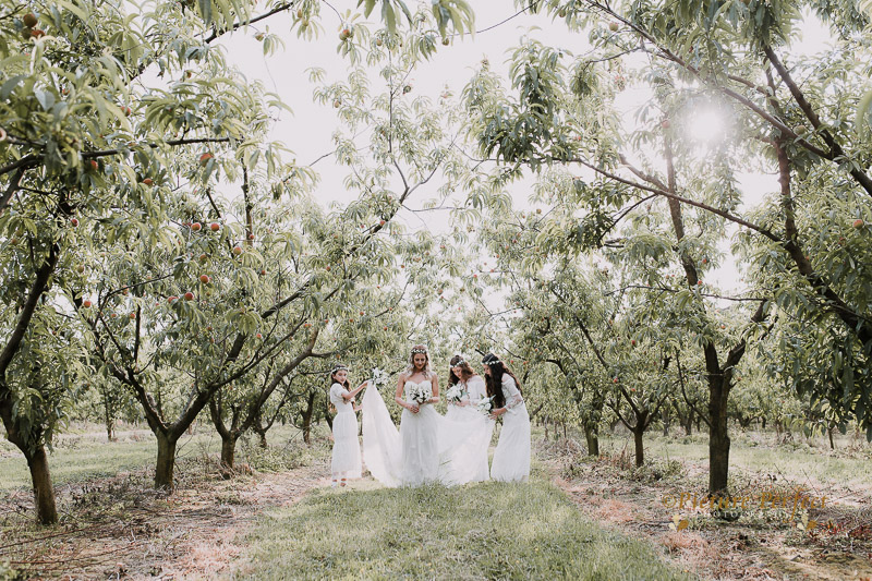 Palmerston North wedding photo Emma 0318