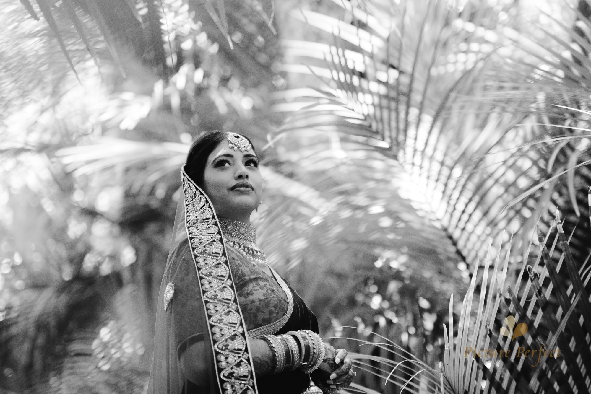Niroshi Auckland Indian Wedding Day 3 0182