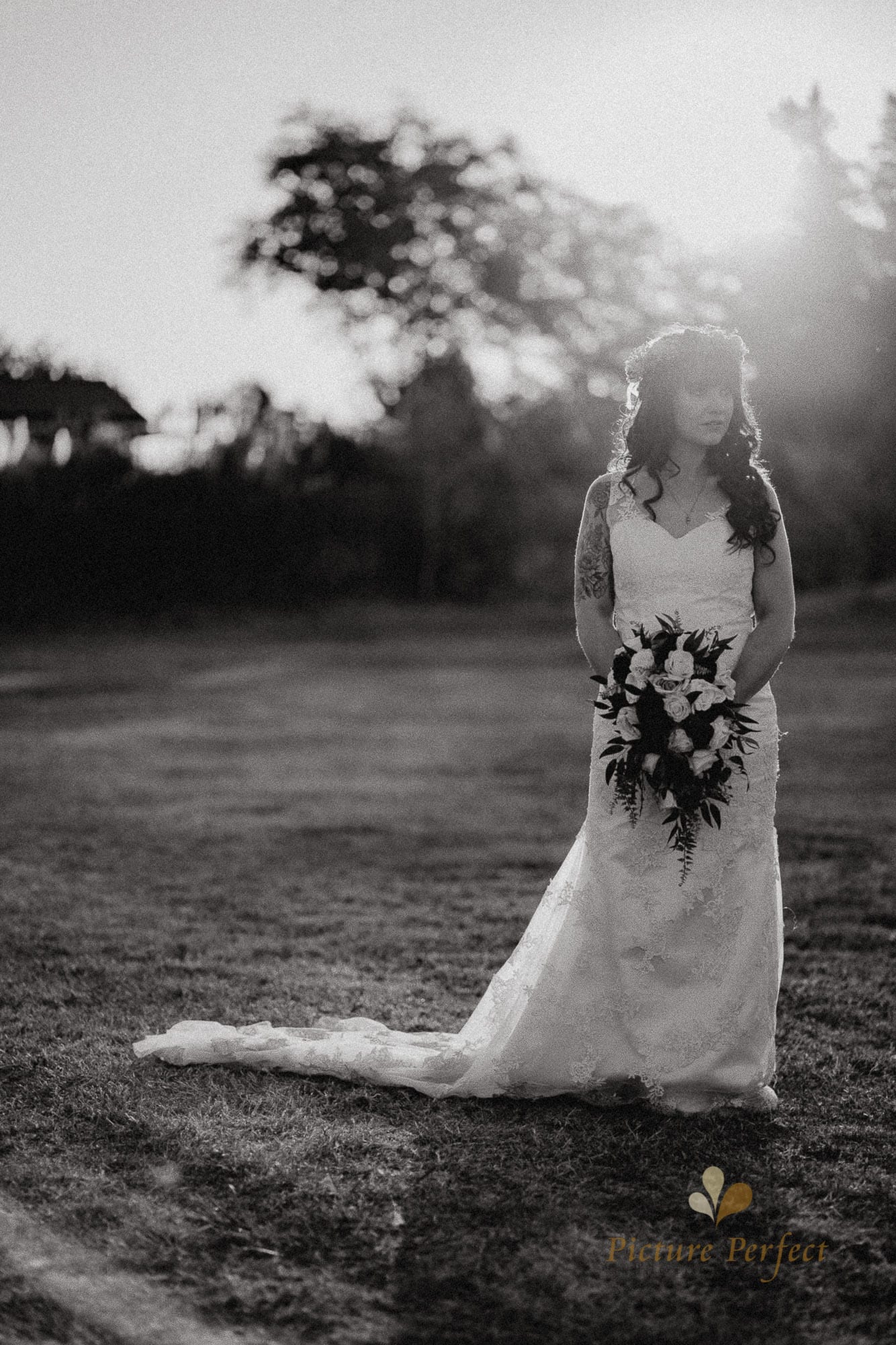 Palmerston North wedding photographer with Ashleigh 1254