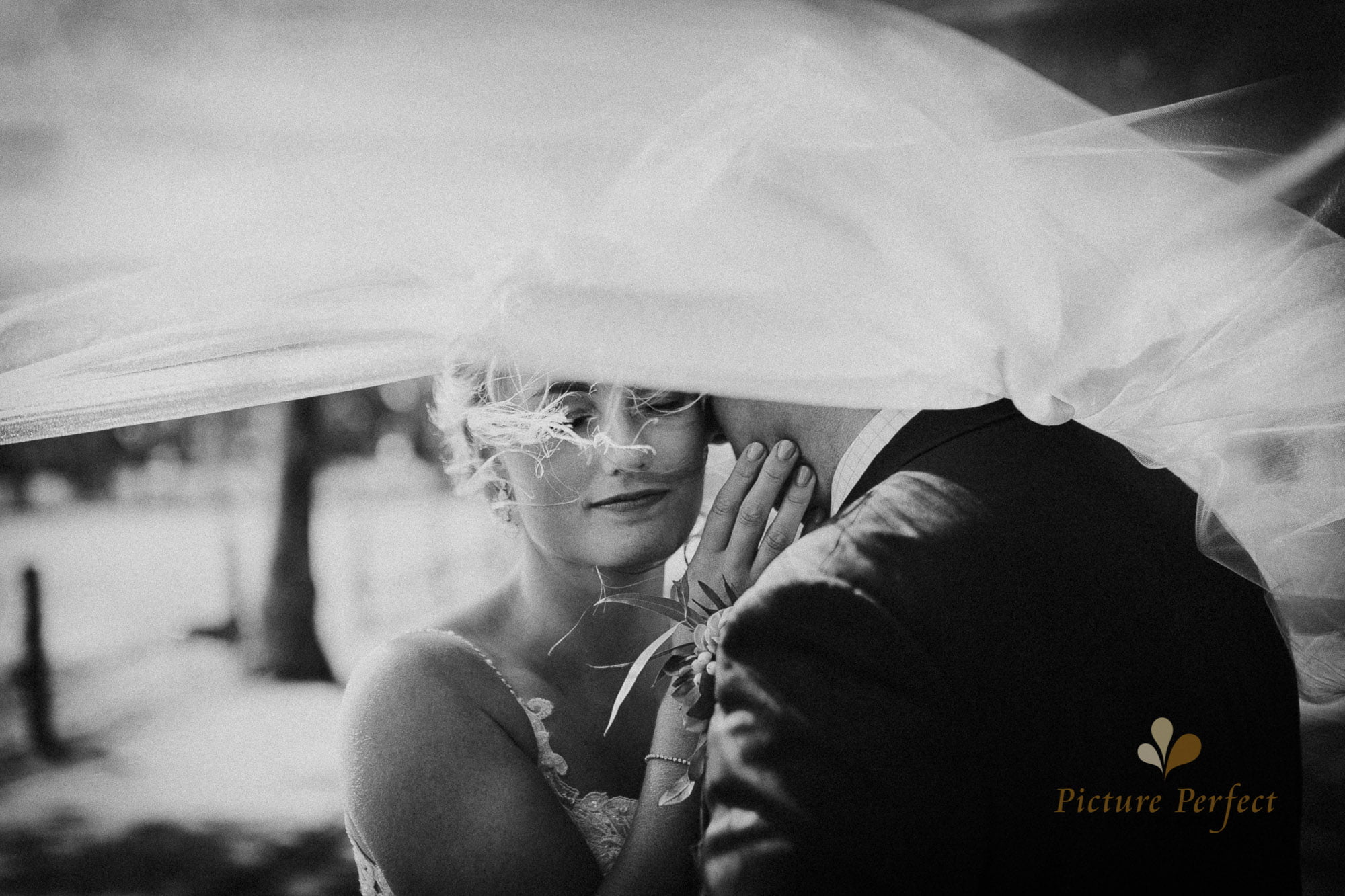 Featured weddings photo image of bride intimately cuddling up to the groom in black and white