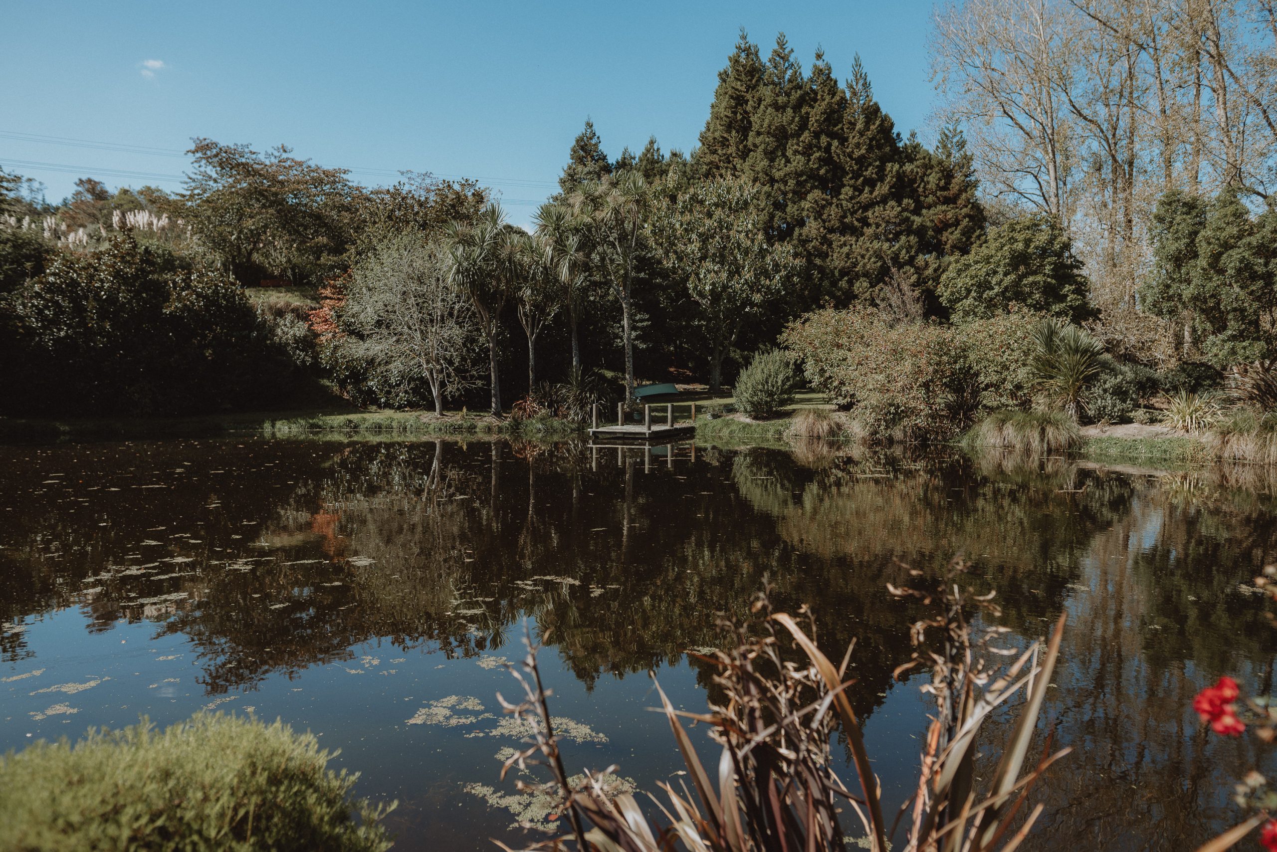 Palmerston North wedding venues with this lake view at Roseburn Park